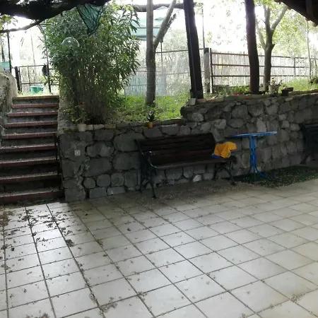 Rugiada Scario