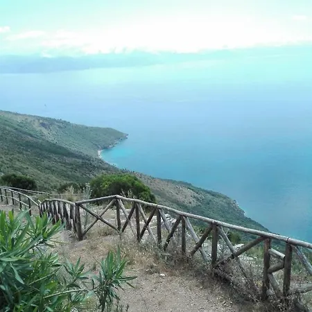 Rugiada Scario
